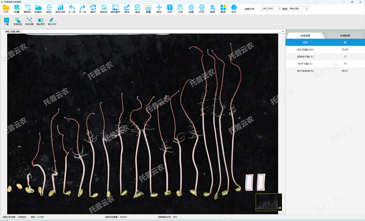 種子萌發和根系分析