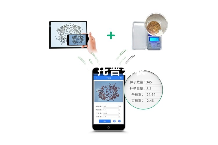 千粒重儀系統