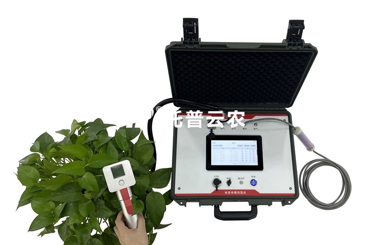 便攜式光合作用測(cè)定儀