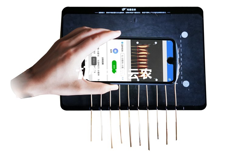 麥穗形態測量儀