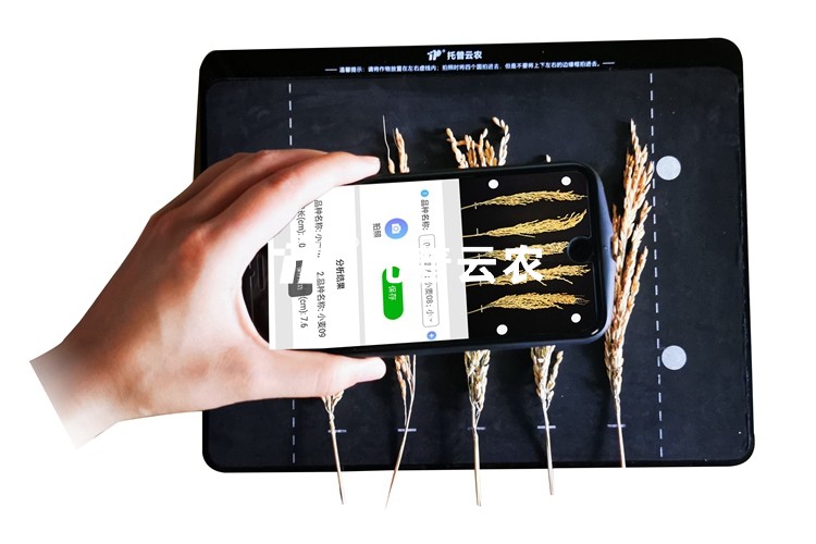 稻穗形態測量儀