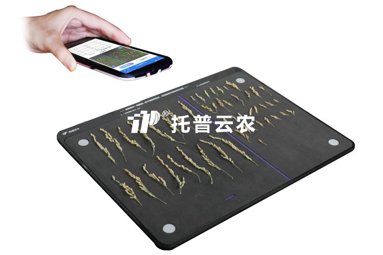 水稻整穗考種測量系統