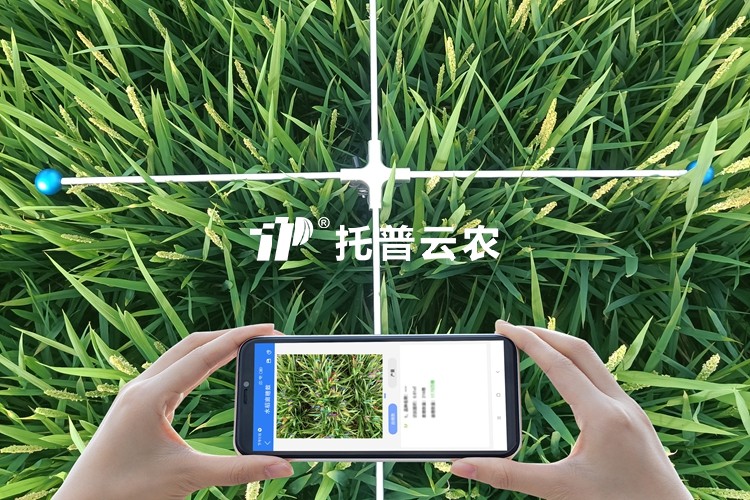 水稻畝穗數測量系統