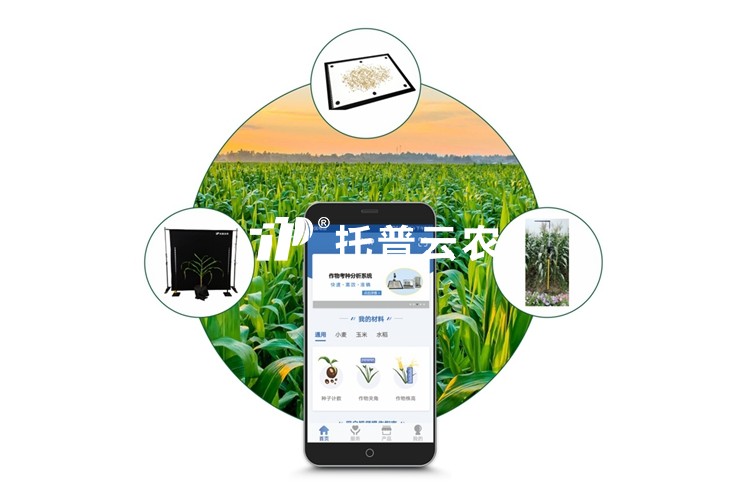 玉米表型檢測系統