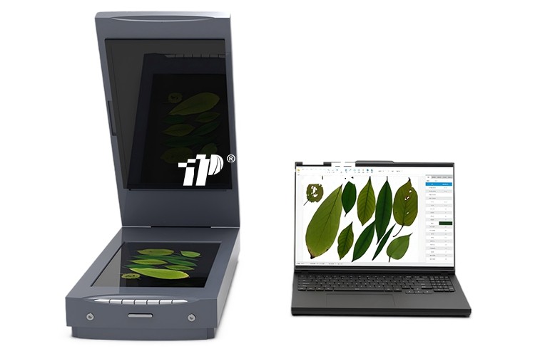 葉面積分析系統