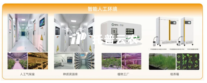 托普云農(nóng)以AI賦能全產(chǎn)業(yè)鏈，為種業(yè)振興注入“芯”動(dòng)力